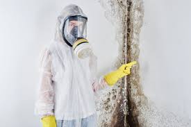 Best Mold Remediation for Healthcare Facilities in Weston Lakes, TX